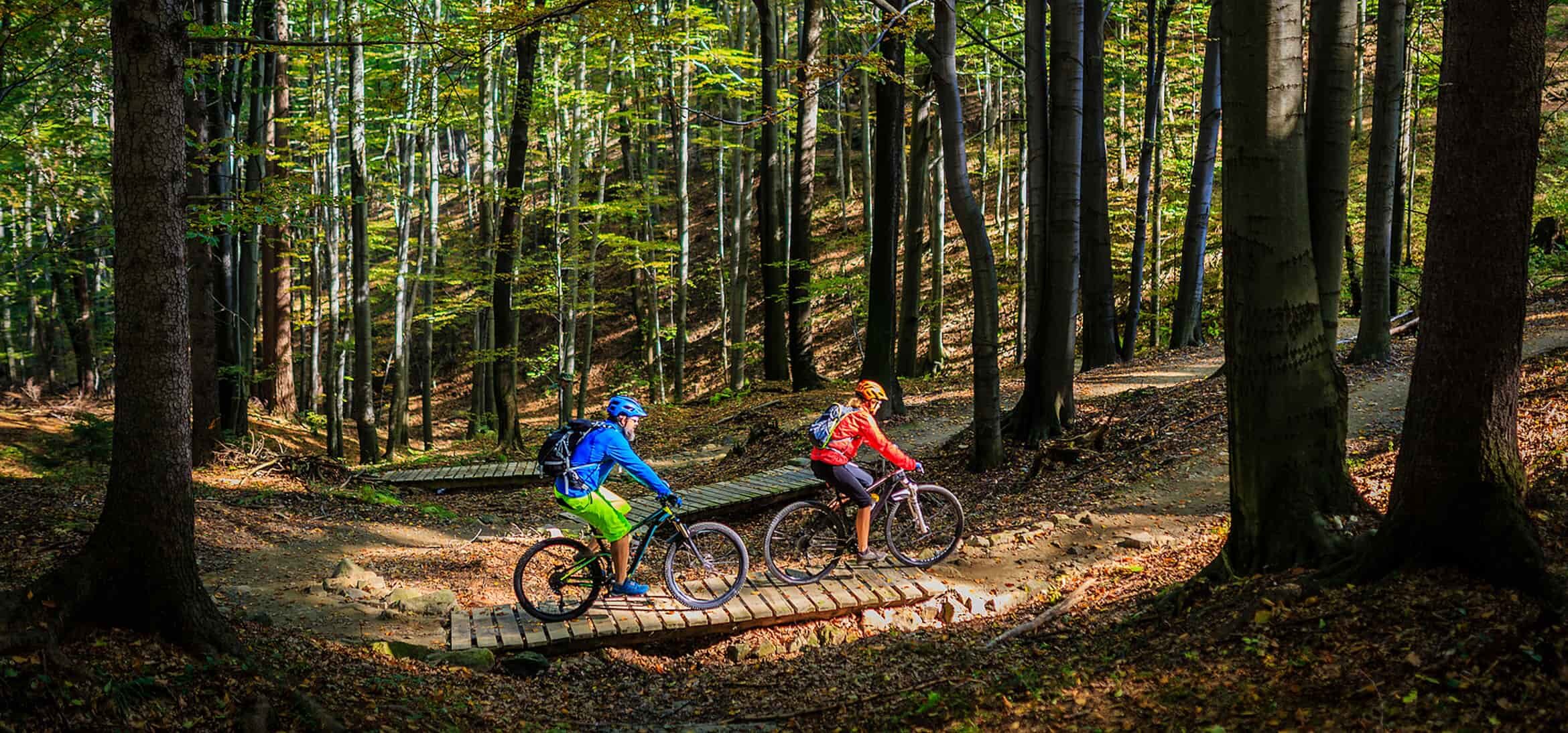 Couple biking in a forest